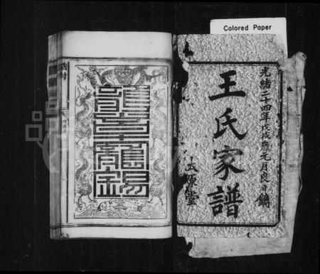 湖南王氏族谱-王氏家谱 [不分卷].pdf电子版预览图5