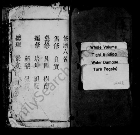 江西李氏族谱-陇西李氏族谱 [32卷,及卷首].pdf电子版预览图2