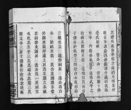 湖南王氏族谱-王氏应贵公支谱 [10卷].pdf电子版预览图3