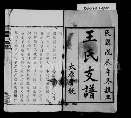 湖南王氏族谱-王氏支谱 [10卷,含首1卷].pdf电子版预览图1