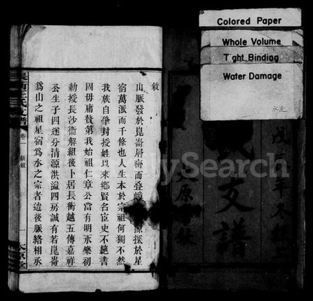 湖南王氏族谱-王氏支谱 [10卷,含首1卷].pdf电子版预览图2