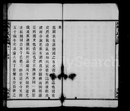 湖南王氏族谱-王氏支谱 [10卷,含首1卷].pdf电子版预览图5