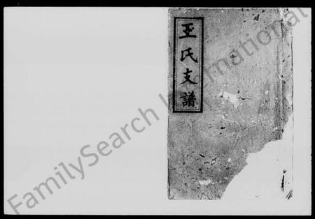 湖南王氏族谱-王氏支谱 [10卷].pdf电子版预览图1