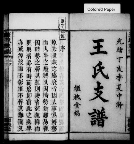 湖南王氏族谱-王氏支谱 [3卷,及卷首].pdf电子版预览图1