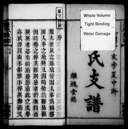 湖南王氏族谱-王氏支谱 [3卷,及卷首].pdf电子版预览图2