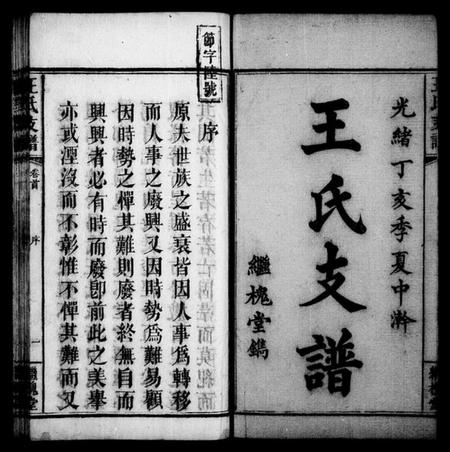 湖南王氏族谱-王氏支谱 [3卷,及卷首].pdf电子版预览图3