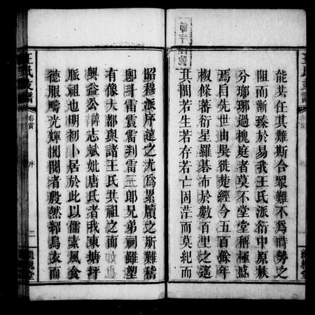 湖南王氏族谱-王氏支谱 [3卷,及卷首].pdf电子版预览图4