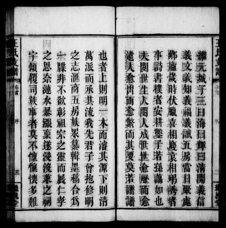 湖南王氏族谱-王氏支谱 [3卷,及卷首].pdf电子版预览图5