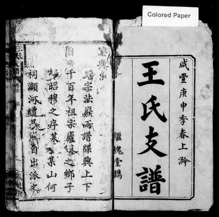 湖南王氏族谱-王氏支谱 [7卷,含卷首].pdf电子版预览图2