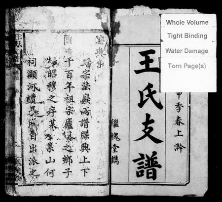 湖南王氏族谱-王氏支谱 [7卷,含卷首].pdf电子版预览图3