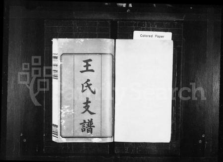 湖南王氏族谱-王氏支谱 [8卷].pdf电子版预览图1