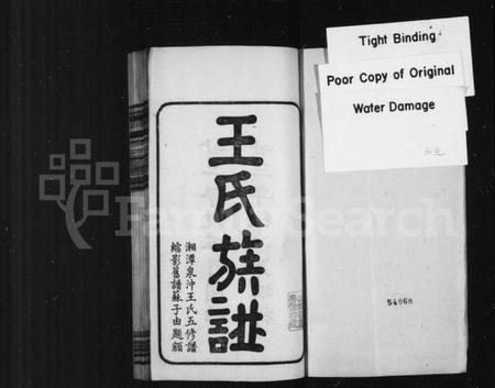 湖南王氏族谱-王氏族谱.pdf电子版预览图2