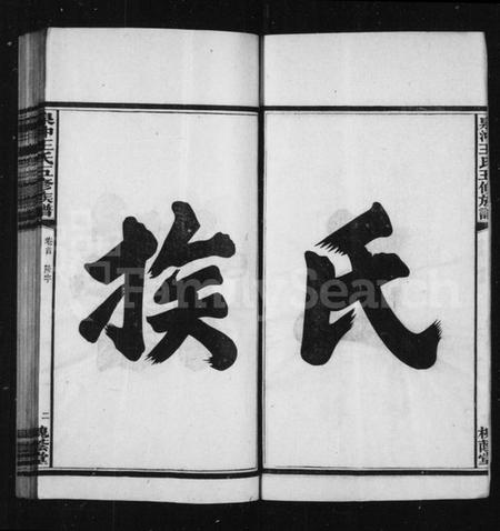 湖南王氏族谱-王氏族谱.pdf电子版预览图4