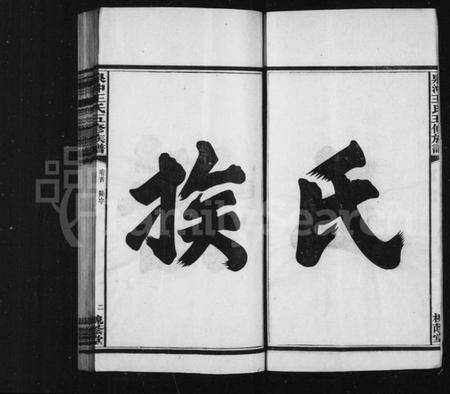 湖南王氏族谱-王氏族谱.pdf电子版预览图5