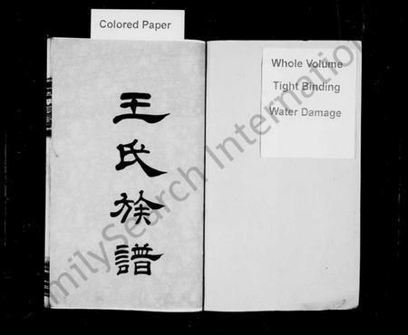 湖南王氏族谱-王氏族谱 [11卷,首3卷,末1卷].pdf电子版预览图2