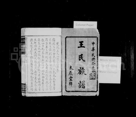 湖南王氏族谱-王氏族谱 [12卷,首2卷].pdf电子版预览图2