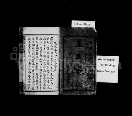 湖南王氏族谱-王氏族谱 [12卷,首2卷].pdf电子版预览图3