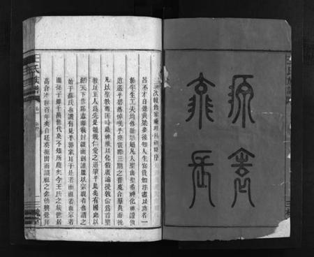 湖南王氏族谱-王氏族谱 [12卷].pdf电子版预览图3