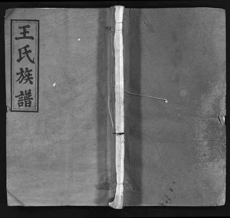 湖南王氏族谱-王氏族谱 [16卷,首1卷].pdf电子版预览图1