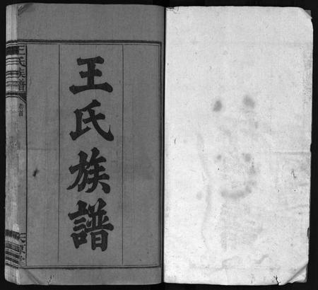 湖南王氏族谱-王氏族谱 [16卷,首1卷].pdf电子版预览图2