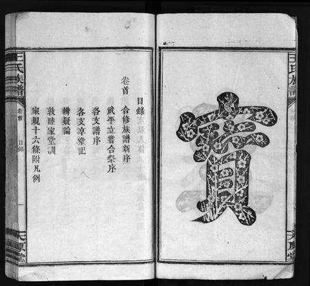 湖南王氏族谱-王氏族谱 [16卷,首1卷].pdf电子版预览图5