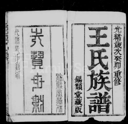 湖南王氏族谱-王氏族谱 [18卷,及卷首].pdf电子版预览图2