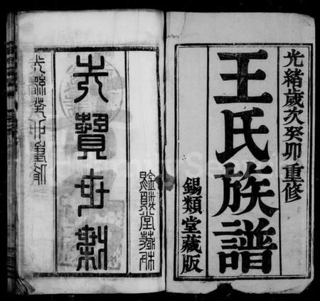 湖南王氏族谱-王氏族谱 [18卷,及卷首].pdf电子版预览图3