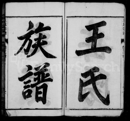 湖南王氏族谱-王氏族谱 [18卷,及卷首].pdf电子版预览图5