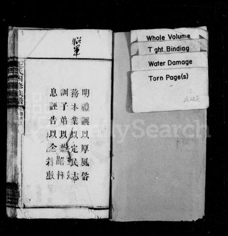 湖南王氏族谱-王氏族谱 [37卷,首3卷].pdf电子版预览图1