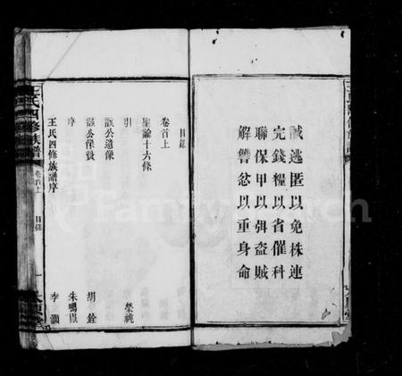 湖南王氏族谱-王氏族谱 [37卷,首3卷].pdf电子版预览图2