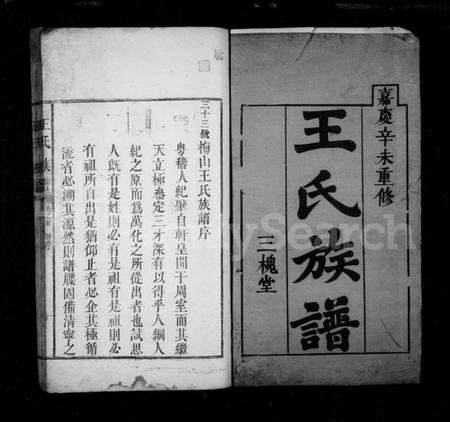 湖南王氏族谱-王氏族谱 [3卷,首1卷].pdf电子版预览图2