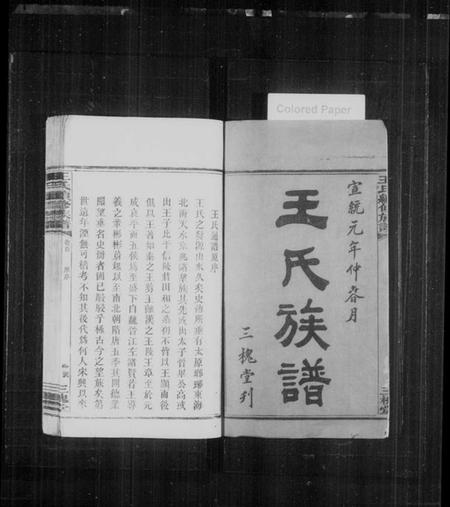 湖南王氏族谱-王氏族谱 [5卷,及卷首].pdf电子版预览图2