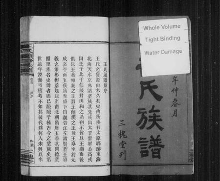 湖南王氏族谱-王氏族谱 [5卷,及卷首].pdf电子版预览图3