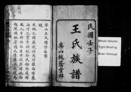 湖南王氏族谱-王氏族谱 [8卷].pdf电子版预览图3