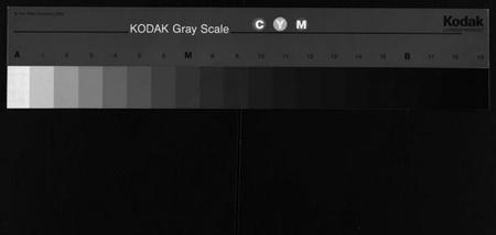 湖南王氏族谱-王氏族谱 [叙事2卷,世系8卷].pdf电子版缩略图