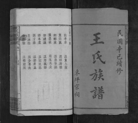 湖南王氏族谱-王氏族谱[8卷].pdf电子版预览图1