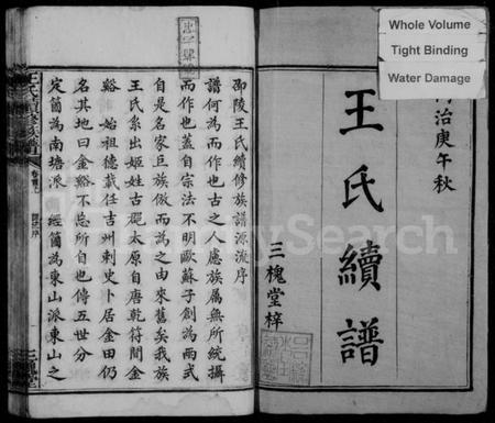 湖南王氏族谱-王氏续修族谱 [12卷,首2卷].pdf电子版预览图3