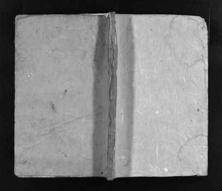 湖南王氏族谱-王氏续修族谱 [总卷数不详].pdf电子版预览图1