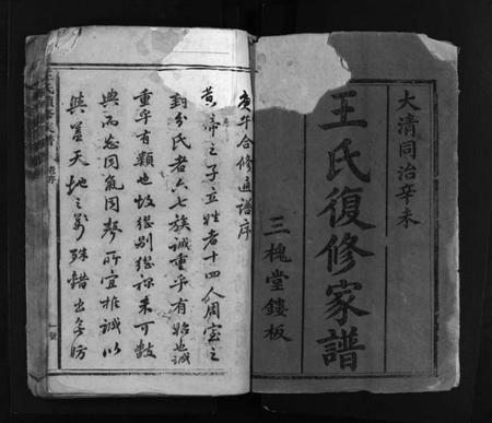 湖南王氏族谱-王氏续修族谱 [总卷数不详].pdf电子版预览图2