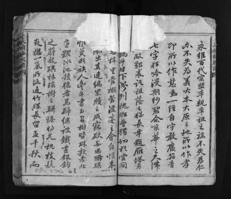 湖南王氏族谱-王氏续修族谱 [总卷数不详].pdf电子版预览图5