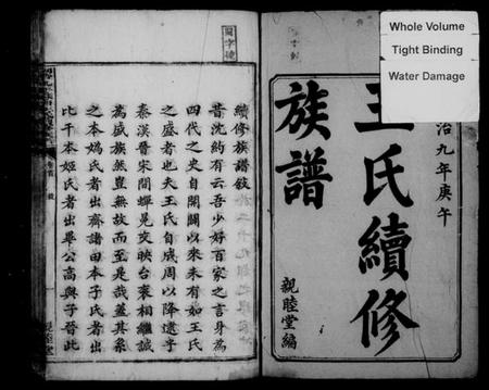 湖南王氏族谱-苏塘王氏续修族谱 [8卷,含卷首].pdf电子版预览图3