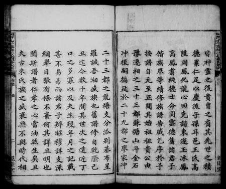 湖南王氏族谱-苏塘王氏续修族谱 [8卷,含卷首].pdf电子版预览图4