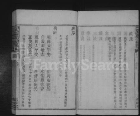 湖南王氏族谱-苏塘王氏续修族谱 [8卷,含卷首].pdf电子版预览图5