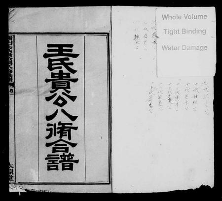 湖南王氏族谱-衡山王氏贵公房八修族谱 [12卷].pdf电子版预览图2