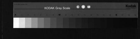 湖南王氏族谱-衡阳渔溪王氏房谱 [残卷].pdf电子版缩略图