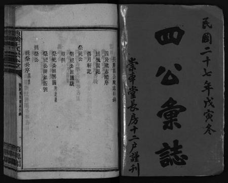 湖南王氏族谱-衡阳渔溪王氏房谱 [残卷].pdf电子版预览图2