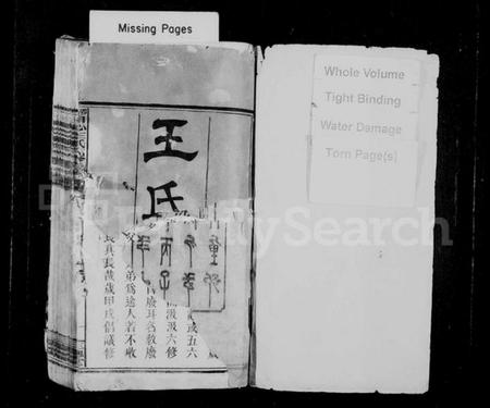 湖南王氏族谱-邵陵田心王氏六修族谱 [39卷,首末各1卷].pdf电子版预览图2