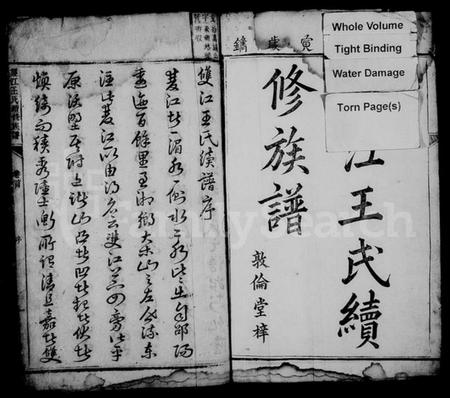 湖南王氏族谱-双江王氏续修族谱 [21卷,首1卷].pdf电子版预览图3