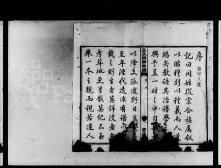 湖南王氏族谱-云湖沙湾王氏卯修族谱 [12卷].pdf电子版预览图3