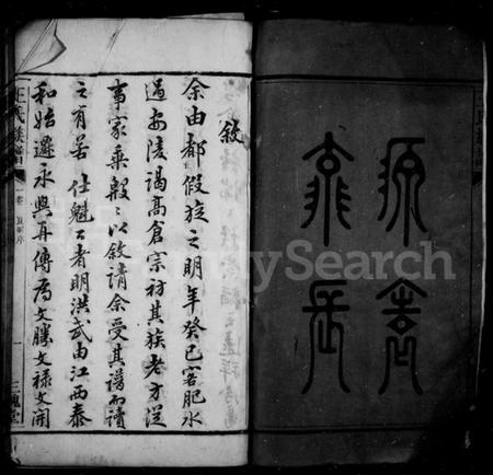 湖南王氏族谱-高仓王氏族谱 [10卷].pdf电子版预览图4